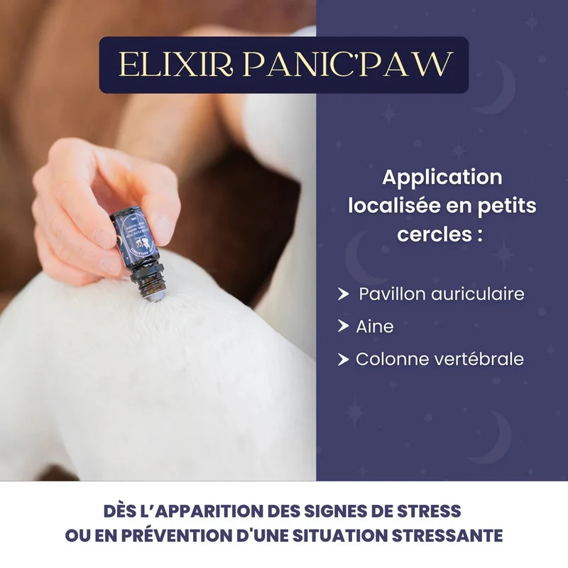 Roll-on anti-stress chien Panic'paw – apaisant bio 5 ml