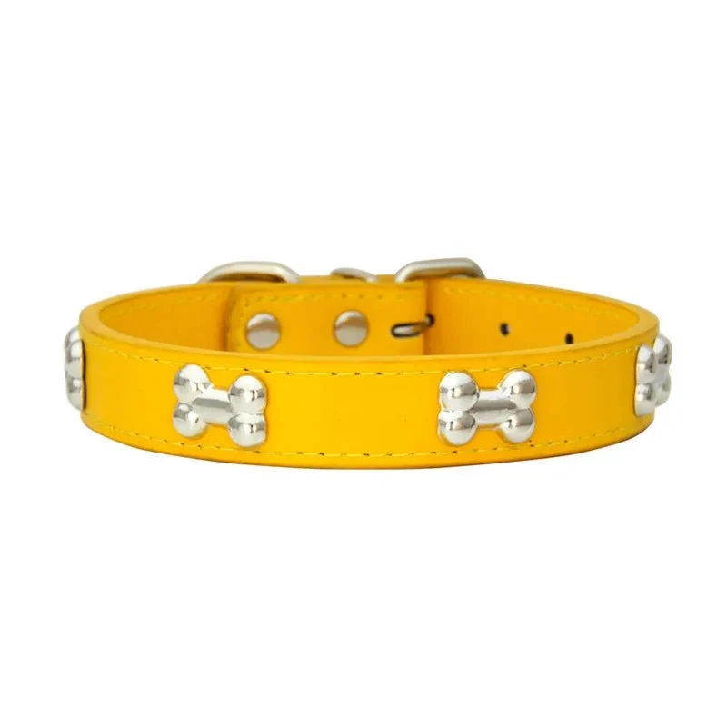 Collier pour petit chien en cuir