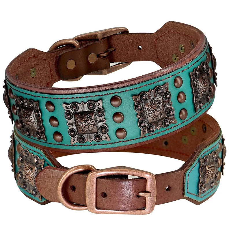 Collier chien cuir large