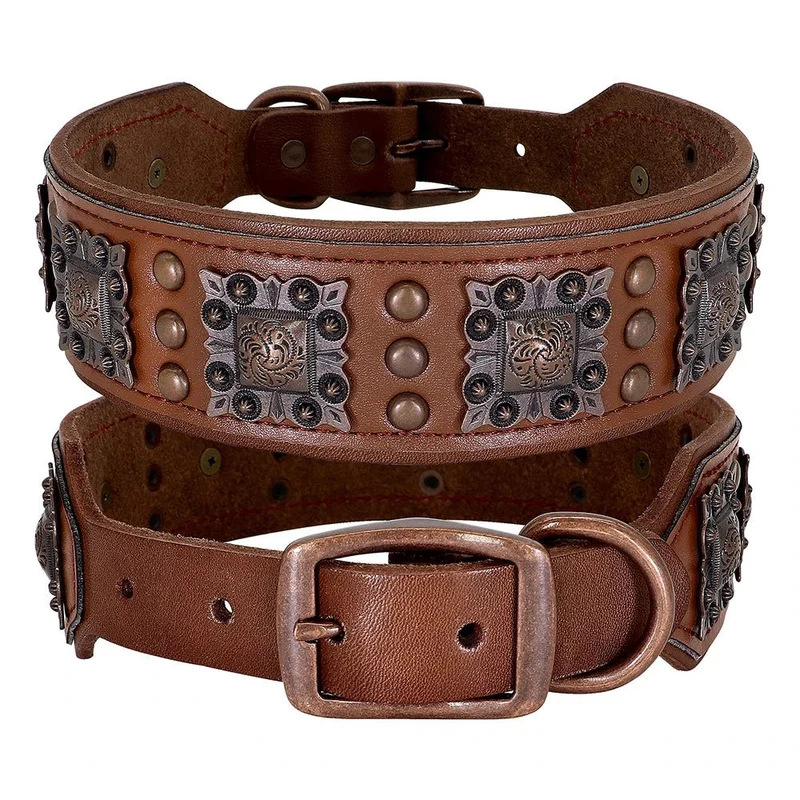Collier chien cuir large