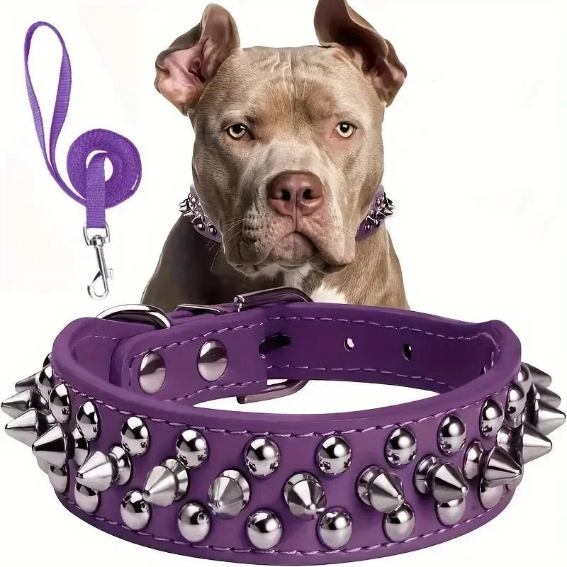 Collier cuir à pique pour chien