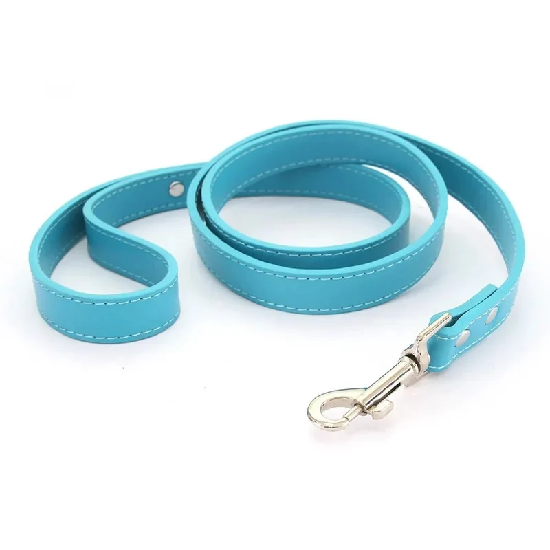 Laisse style cuir pour chiot