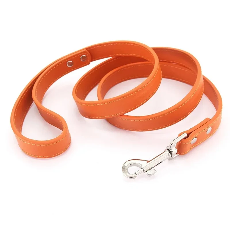 Laisse style cuir pour chiot