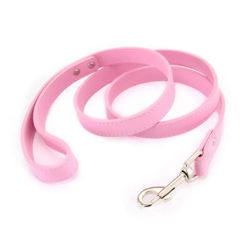 Laisse style cuir pour chiot