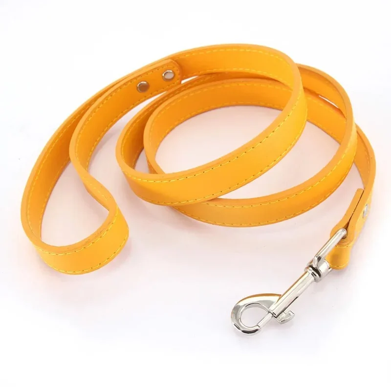 Laisse style cuir pour chiot