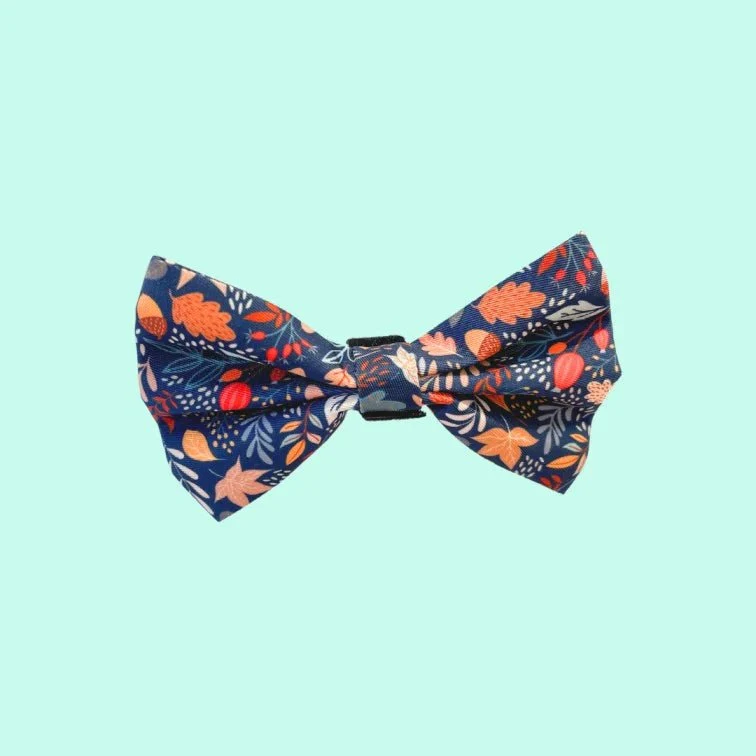 Noeud papillon pour chien Arizona Hotdogs chic et coloré