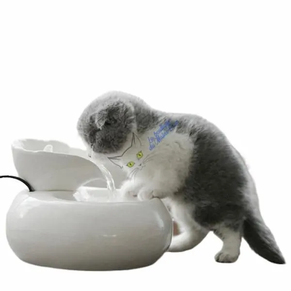 Fontaine en céramique pour chat