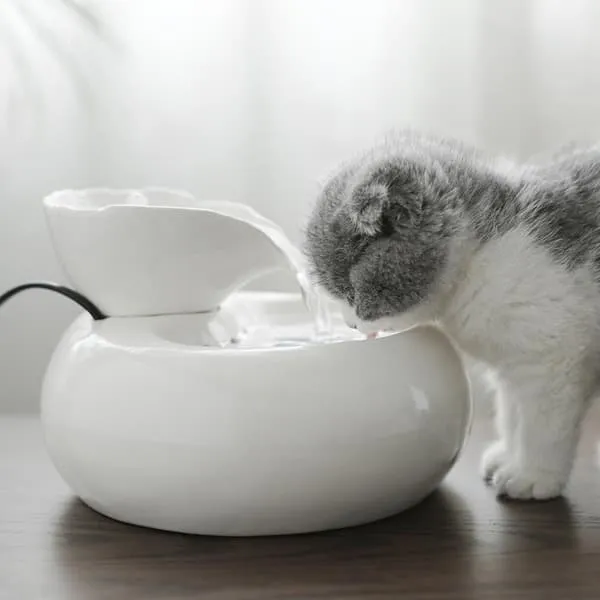 Fontaine en céramique pour chat