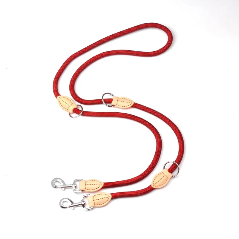 Laisse lasso pour chien