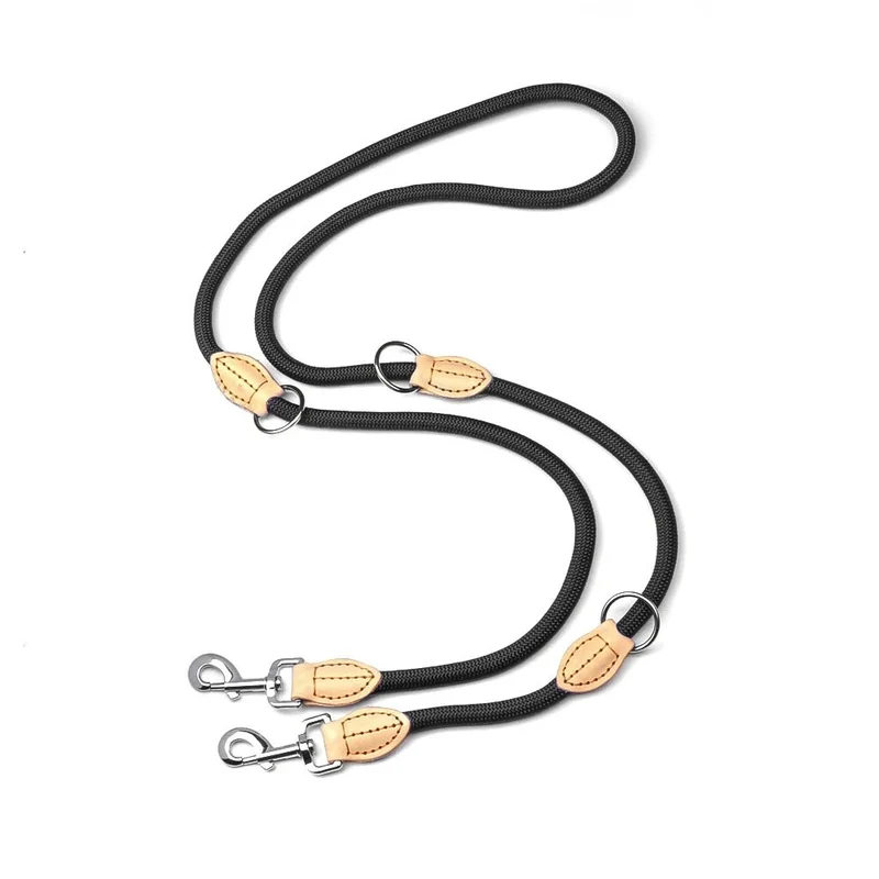 Laisse lasso pour chien