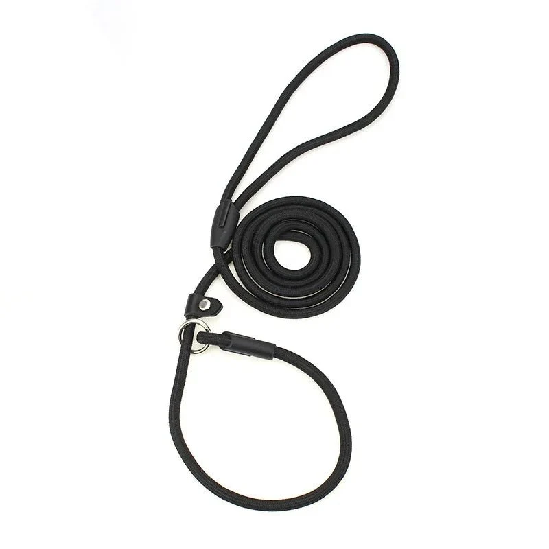 Laisse lasso pour chien 1m50
