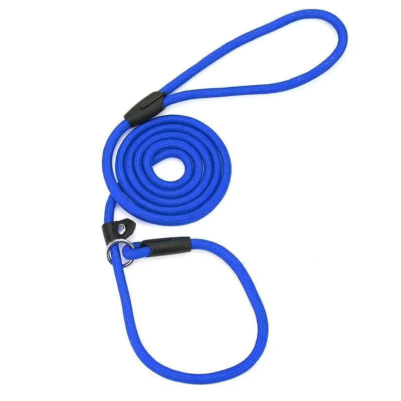 Laisse lasso pour chien 1m50