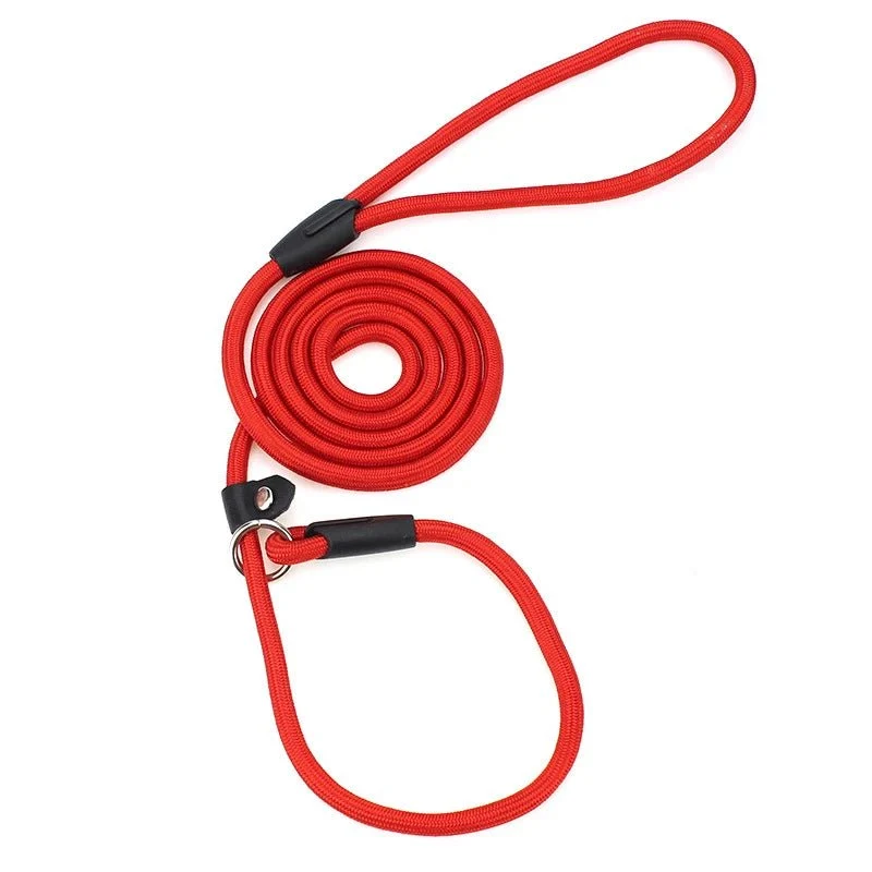 Laisse lasso pour chien 1m50