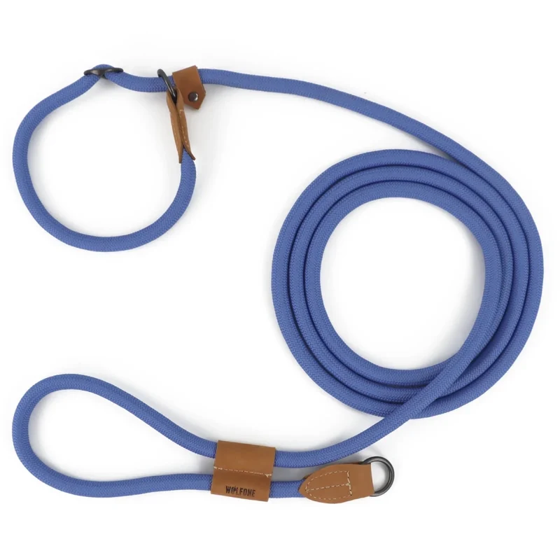 Laisse canine lasso