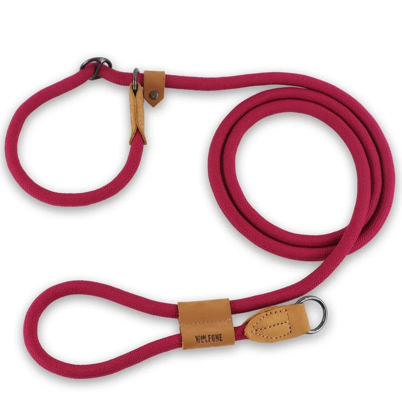 Laisse canine lasso