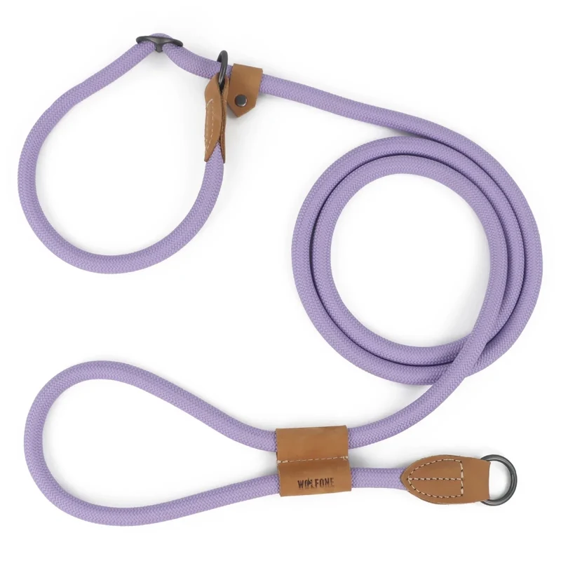 Laisse canine lasso