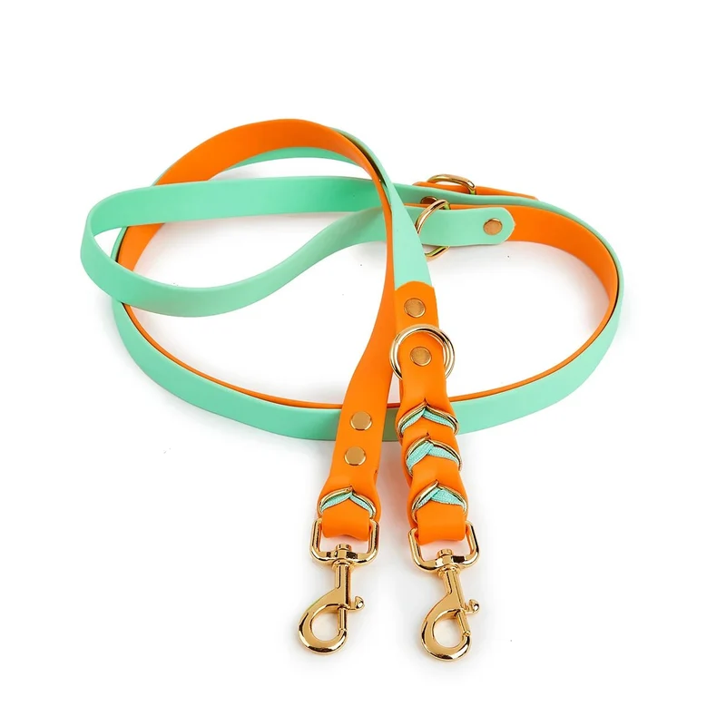 Laisse lasso de luxe