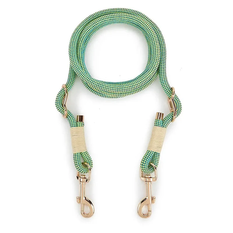 Laisse lasso design pour chien