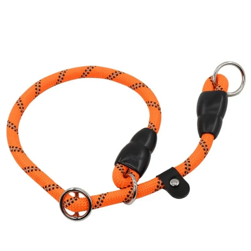 Collier lasso chien