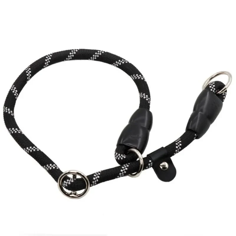 Collier lasso chien