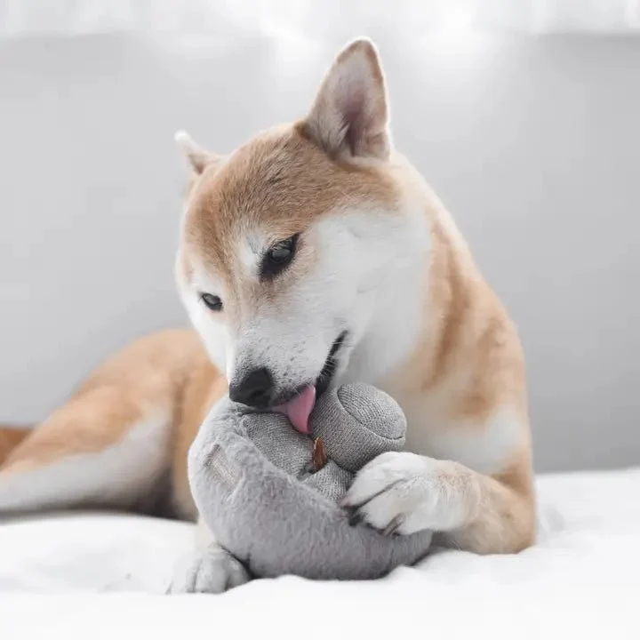 Jouet interactif pour chien champignon GUU Lambwolf 🍄