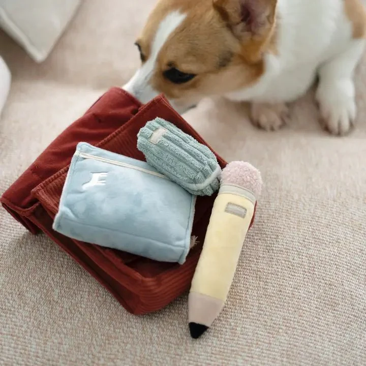 🎒 Jouet de fouille pour chien 2-en-1 Back to School – Fun pour la rentrée