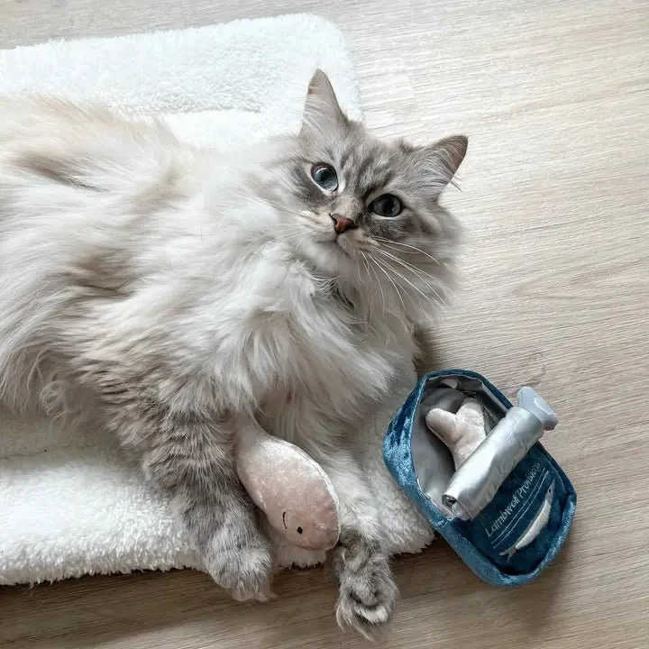 🐟 Jouet de fouille pour chat – Sardines Lambwolf