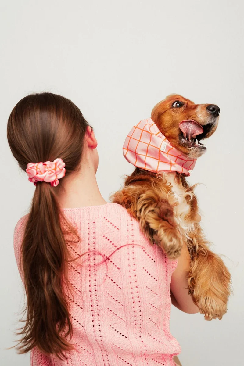 Snood pour chien Summer Lines – Rose & orange – Lou & Co.