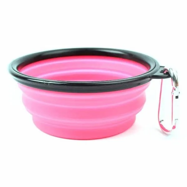 Gamelle silicone pour chats