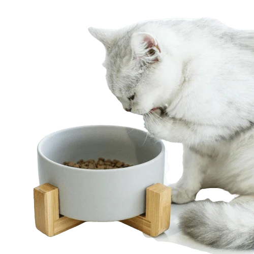 Gamelle design en céramique de 850 ml pour chat