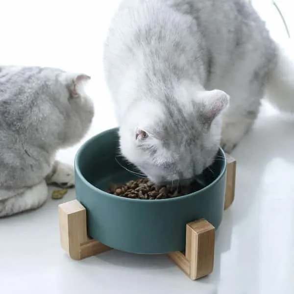 Gamelle design en céramique de 850 ml pour chat