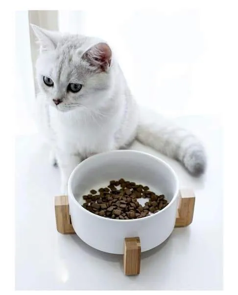 Gamelle design en céramique de 850 ml pour chat