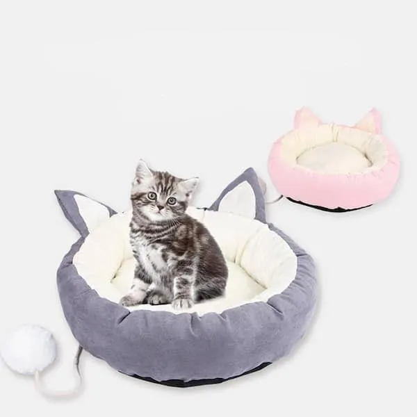 Couchage original pour chat