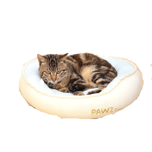 Coussin de repos pour chat