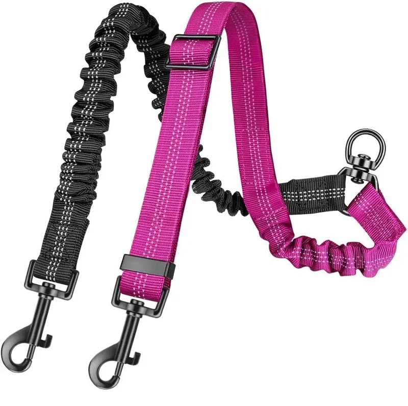 Laisse double pour chien rétractable