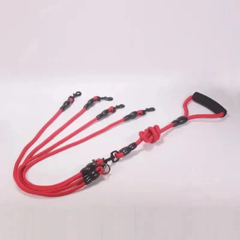 Laisse multiple pour chien