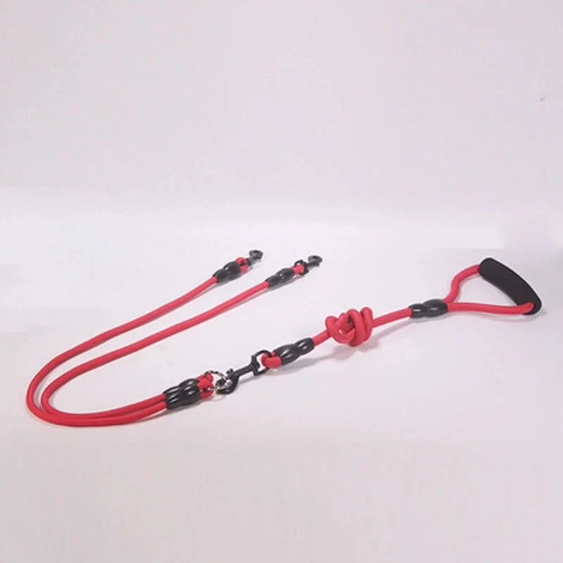 Laisse multiple pour chien