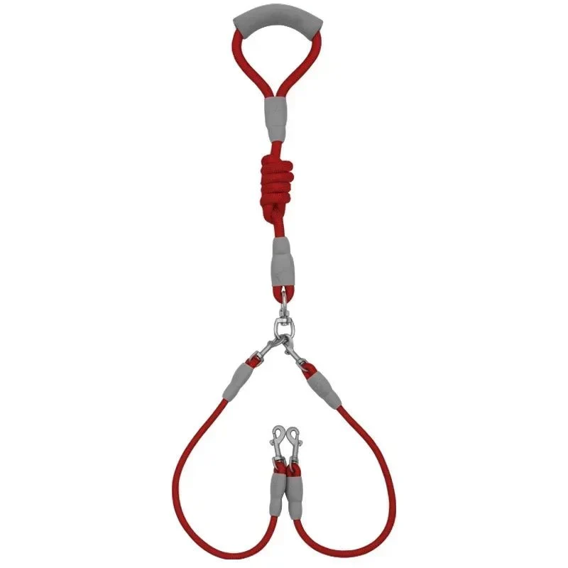 Laisse double pour chiens