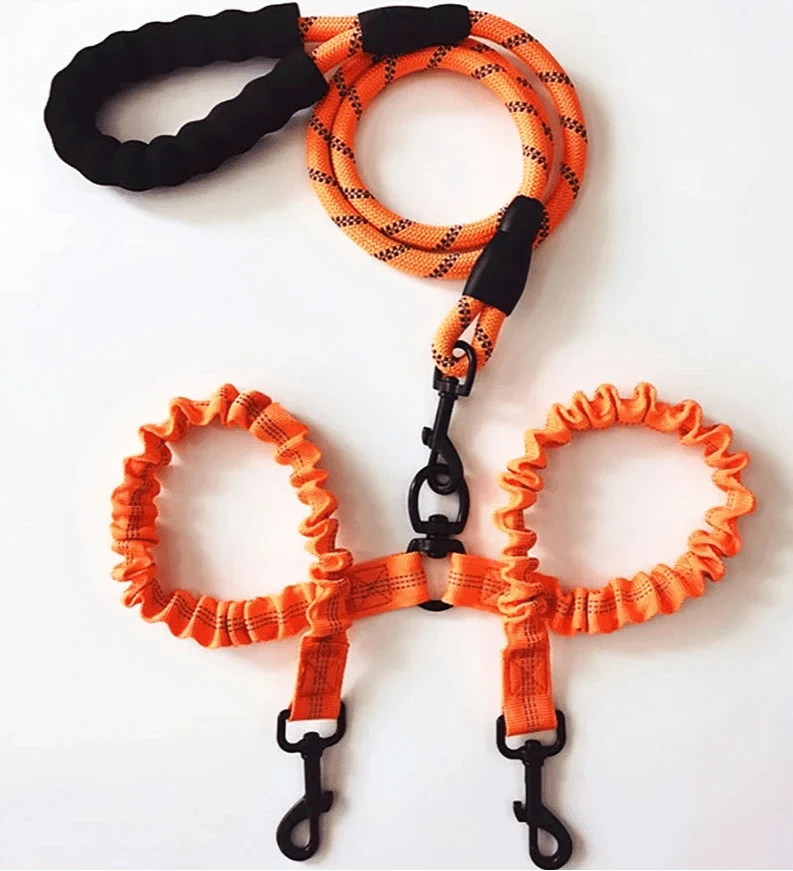 Laisse double pour gros chien