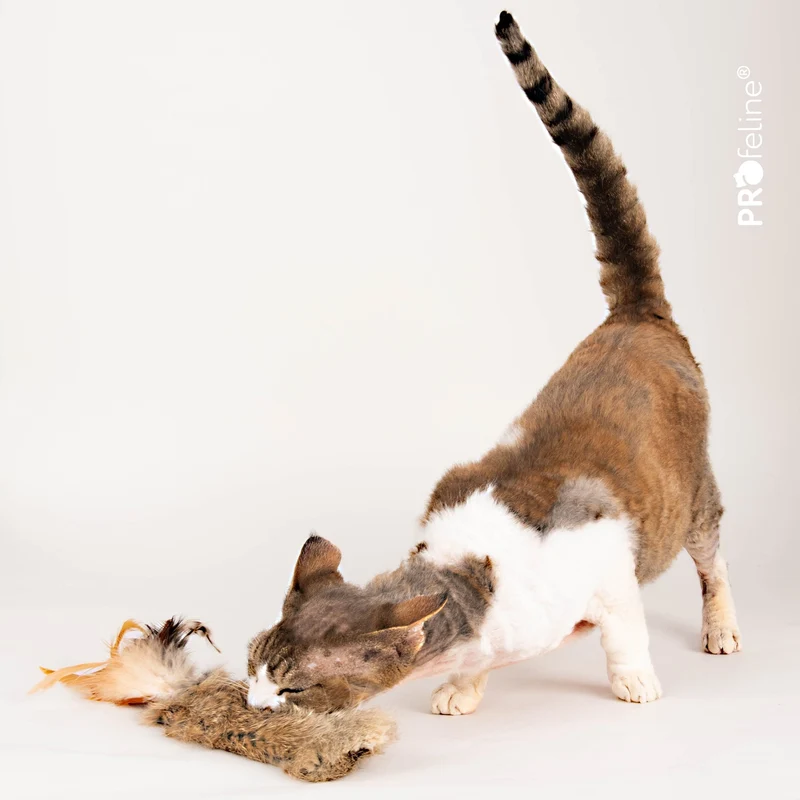 Jouet pour chat Wild Fur Buster – Fourrure naturelle & herbe à chat