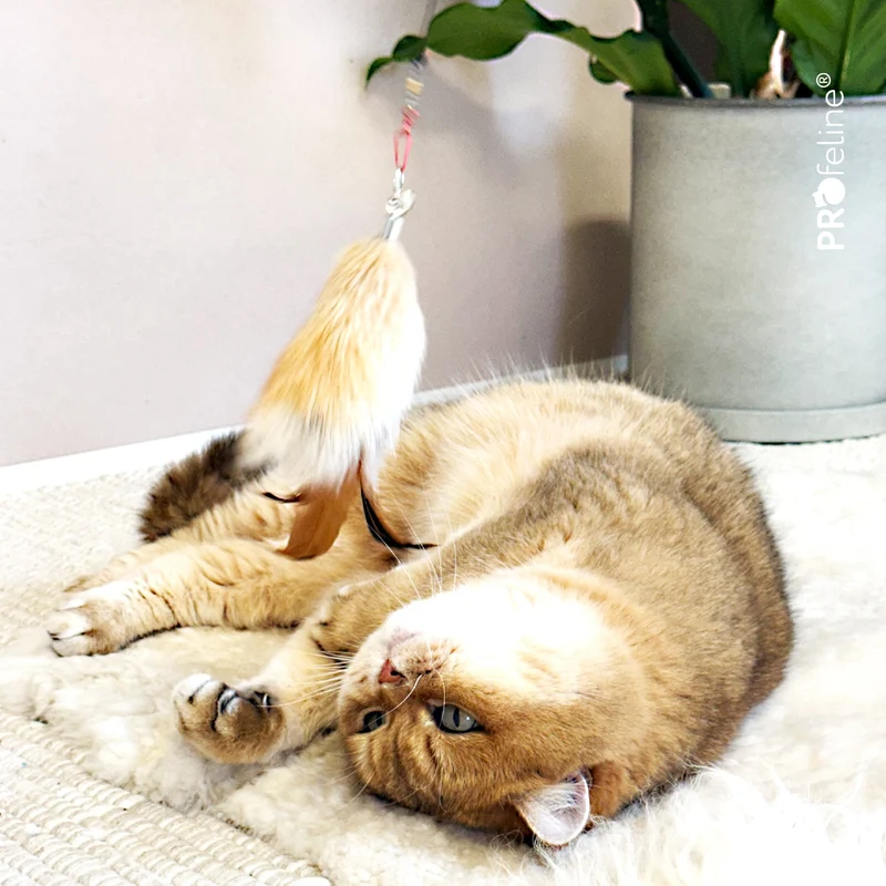Pendentif pour canne à chat Fluffy – Fourrure de lapin et plumes