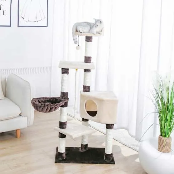 Arbre à chat 138 cm Beige - Modèle : Margarita