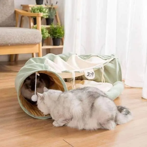 Couchage et tunnel pour chat