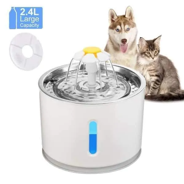 Fontaine pour chat avec LED