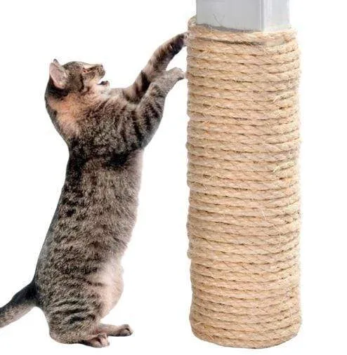 Sisal pour réparer vos arbres à chats
