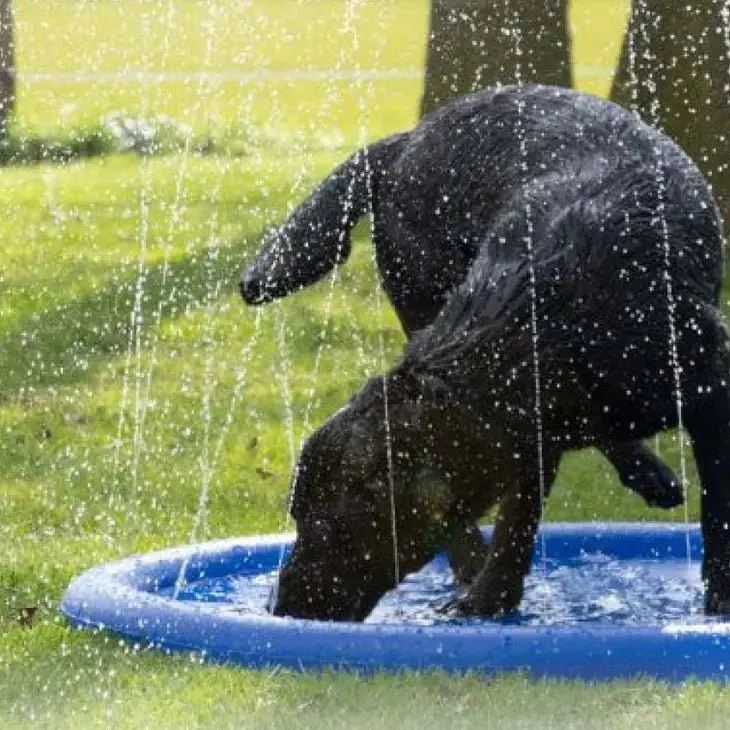 Jeu de jet d’eau rafraîchissant pour chien – Fun Splash