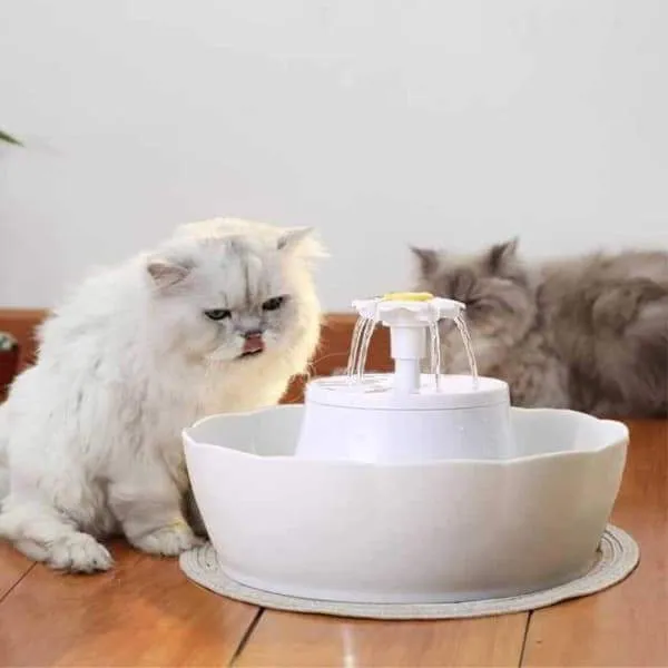 Fontaine à chats 2.3L
