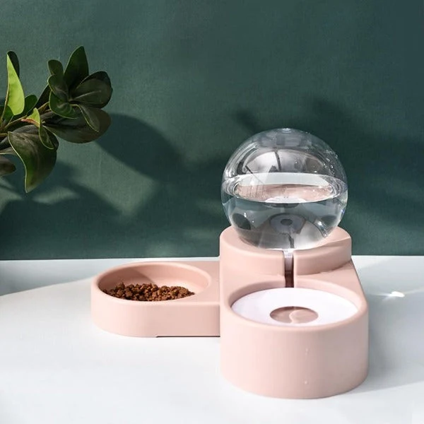 Fontaine et gamelle pour chats