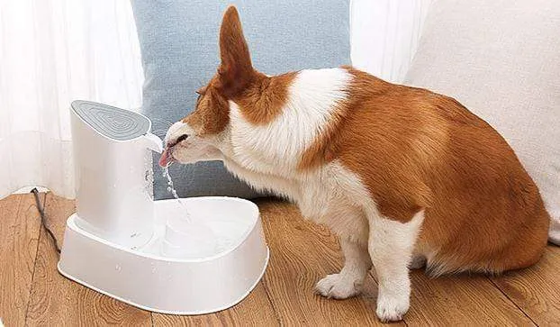 Fontaine à eau pour chat 1.8 litres
