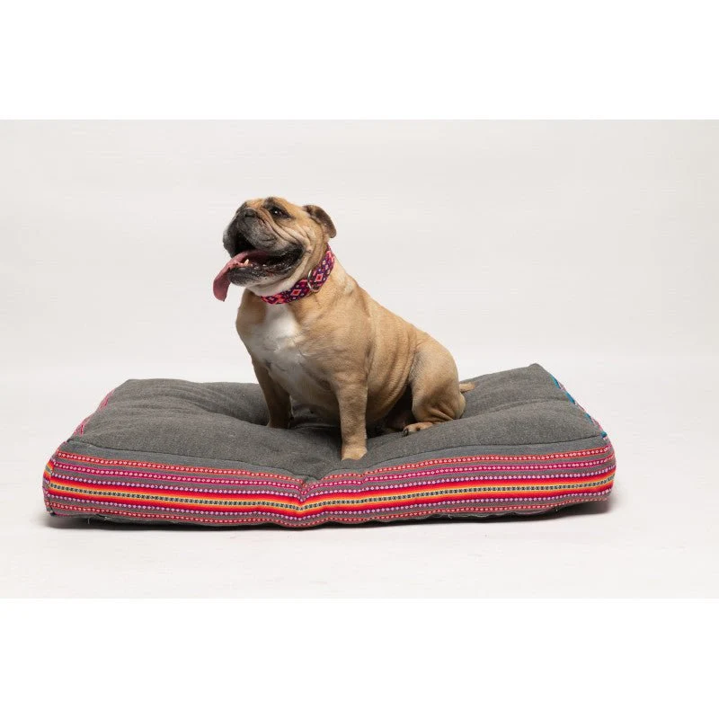 Collier pour chien en cuir brodé Rio Lagartos (broderie complète)